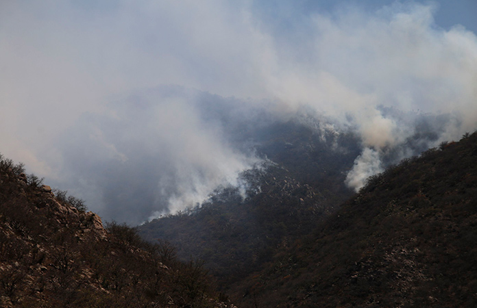 Activos Cuatro Incendios Forestales