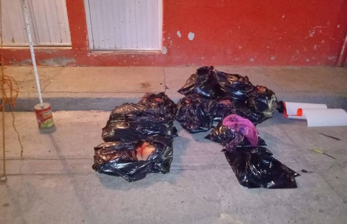 Tiran 9 Bolsas Con Restos Humanos