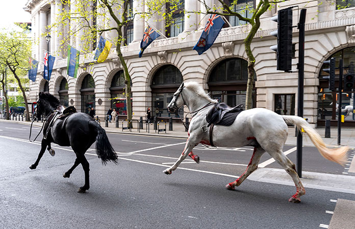 Caballos desatan el caos en Londres