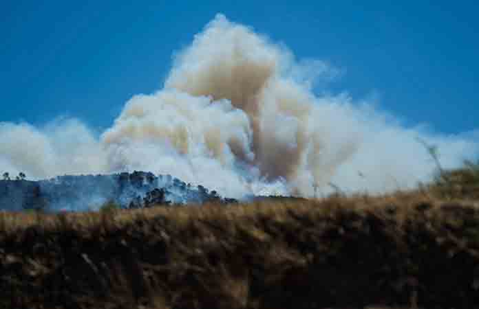 Incendio forestal alcanza Marsella