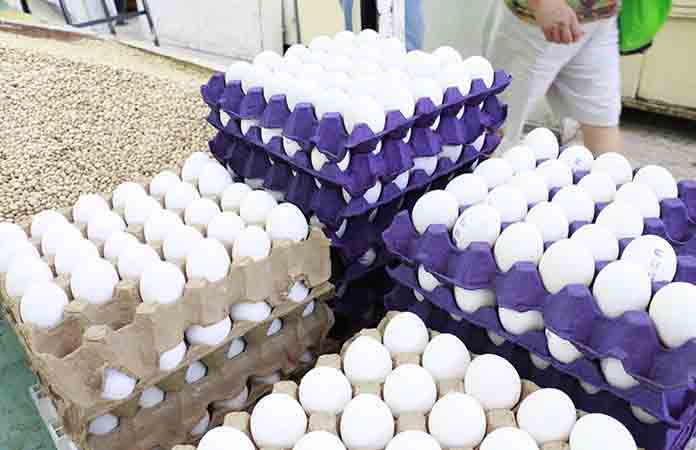 Venta de huevo registra encarecimiento en SL