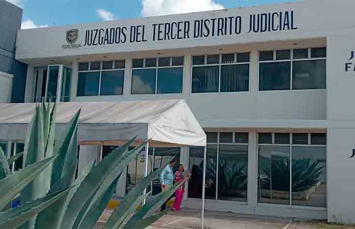 Jauría de perrosatacan a abogados