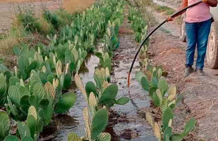 Lluvias destruyeron canales de riego por gravedad