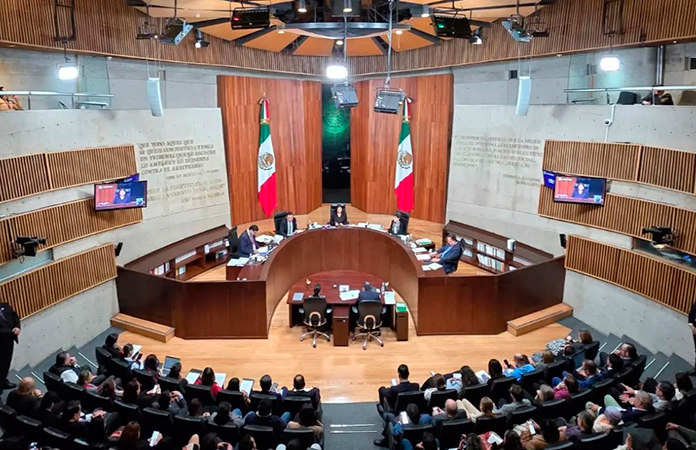 TEPJF falla a favor de Luisa Rojas M.