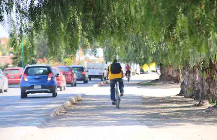 Follaje de arboles invade ciclovía norte