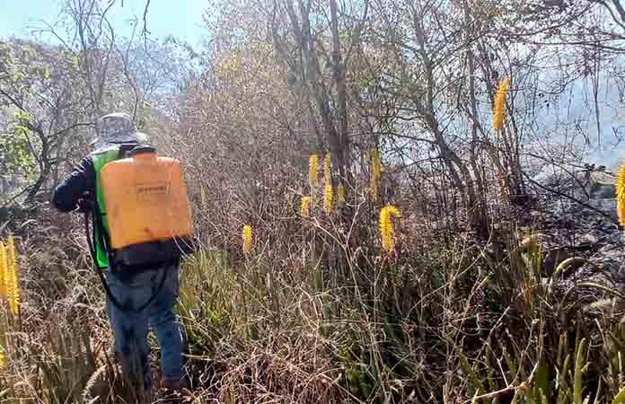 Ola de incendios pone en jaque a bomberos