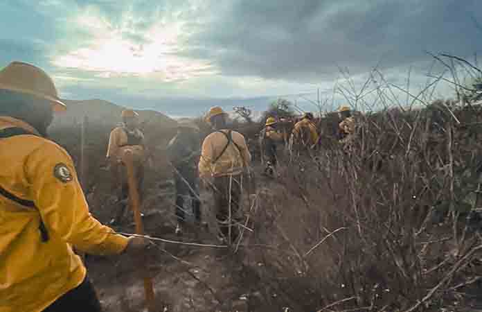 Bomberos sofocan incendio en una milpa