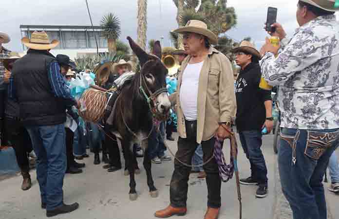 Callejoneada con el burro Rufino
