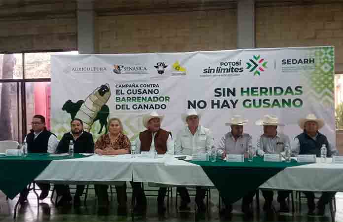 Establecen medidas para proteger ganado de gusano barrenador
