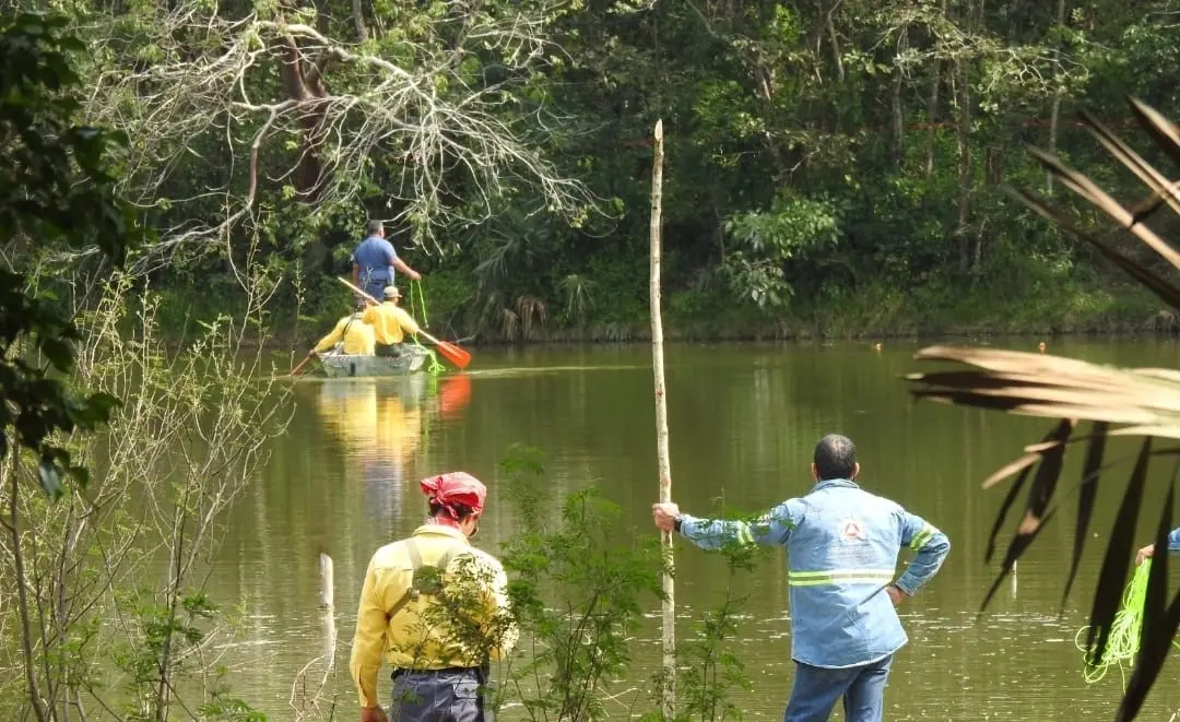 Por cocodrilos, prohíben acceso a laguna de Ciudad Valles
