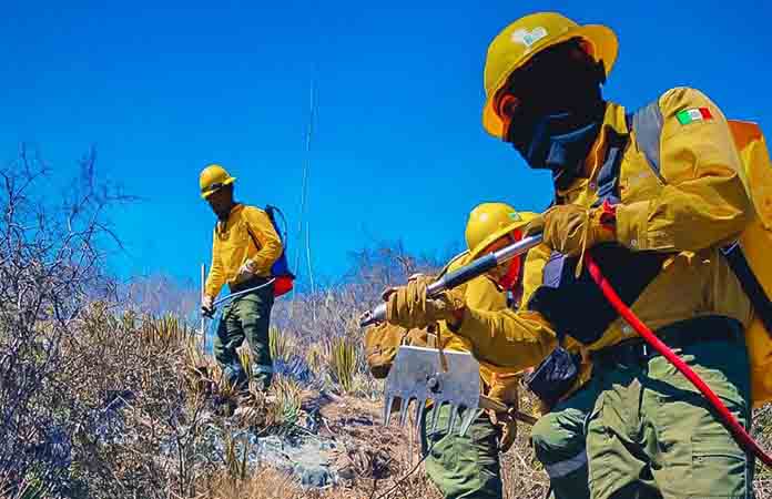 Combaten incendios en Peñitas y Sta. Brígida
