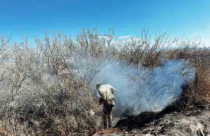 Controlan bomberos incendio forestal en Rancho Nuevo