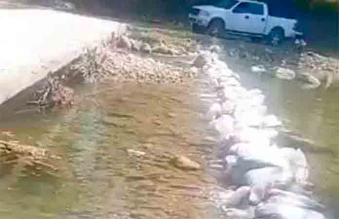Ejidatarios de Guayabos tapan cauce del río