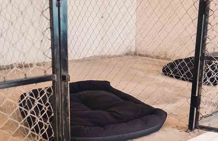 Inauguran Centro de Esterilización Canina y Felina