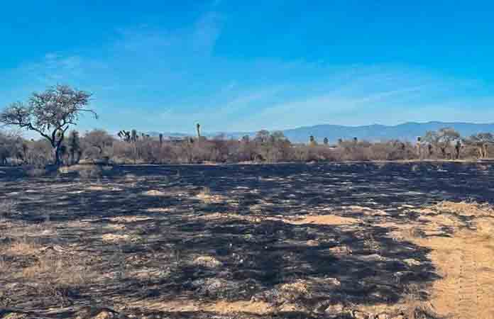Incendio forestal afecta varias comunidades