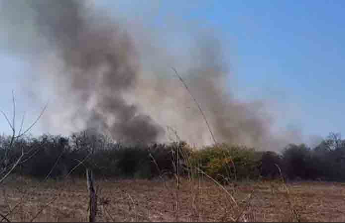 Queman maleza y basura, incendio se sale de control