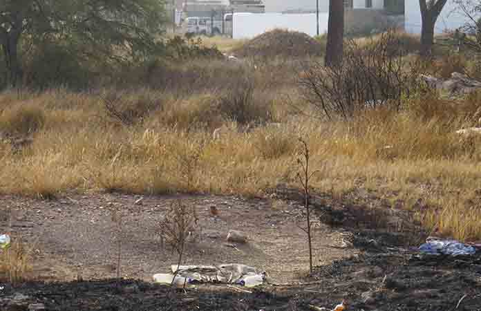 SL, estado más afectado por incendios forestales