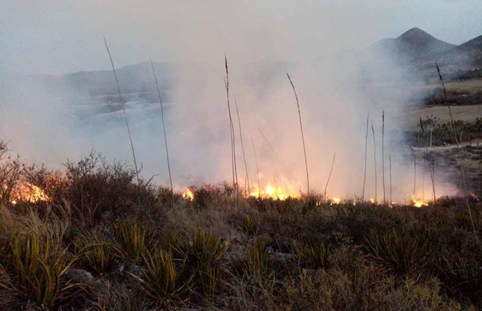 Siguen sin control ola de incendios forestales