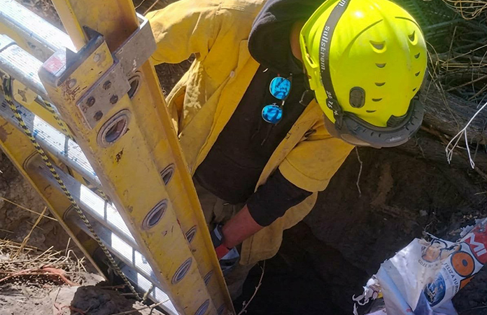 Bomberos rescatan un zorro