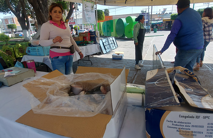 Compra de productos del mar con una gran puesta