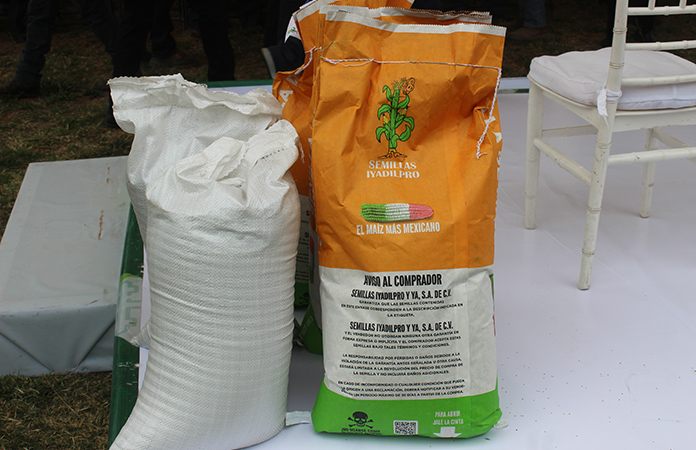 Más de 150 productores reciben semilla