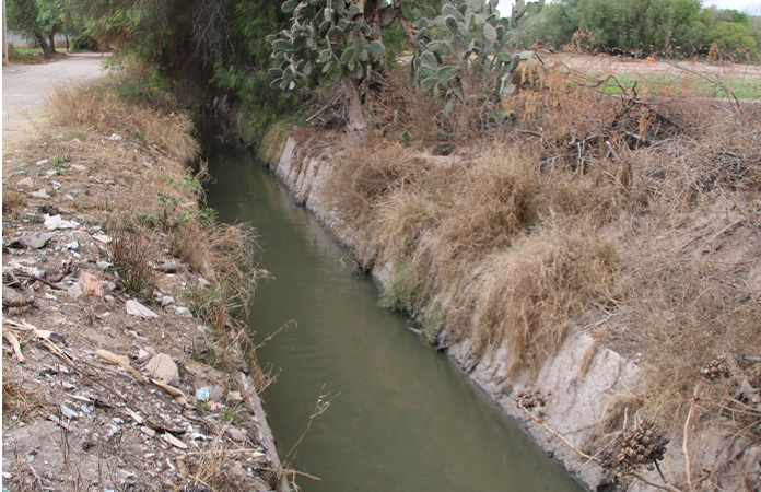Aguas negras se desbordan por taponamiento de ductos