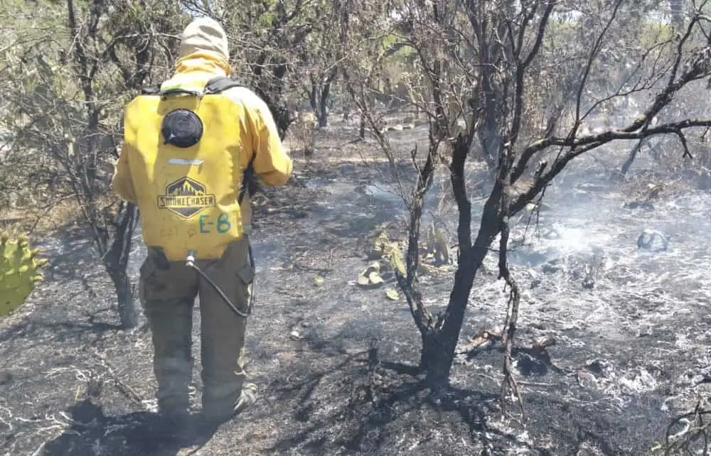 Logran sofocar incendio en La Campiña