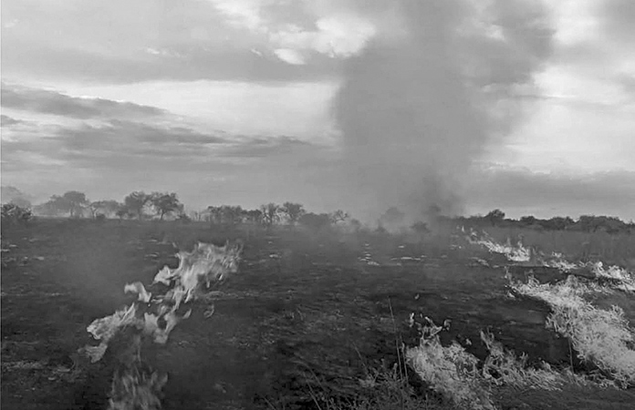 Controlan incendio en “La Cabra”