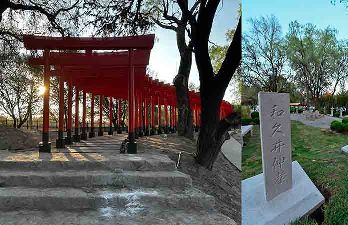 Olvidan jardín japonés del Tangamanga 1