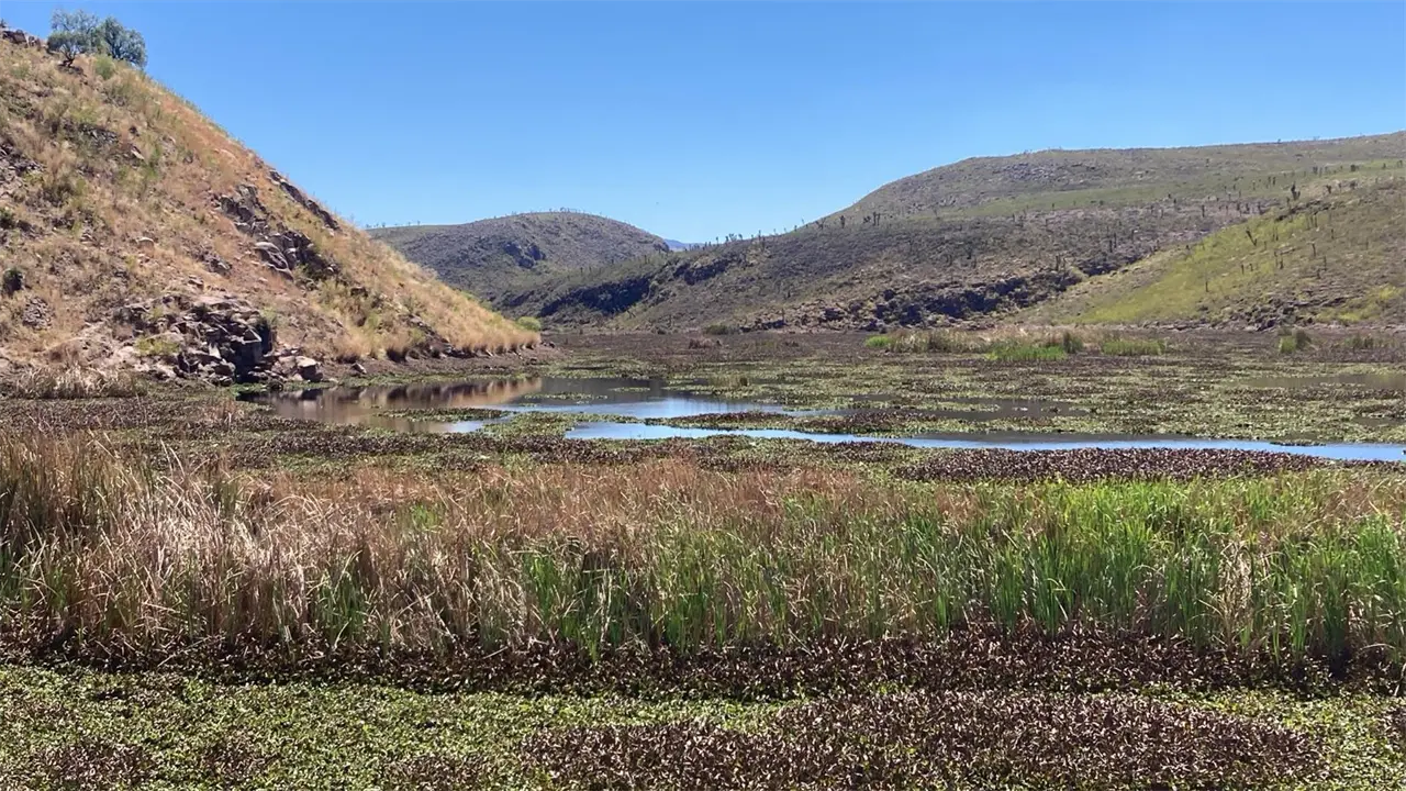 CEA reporta altos niveles de almacenamiento en presas