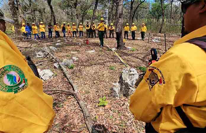 Capacitan a personal para combatir los incendios forestales