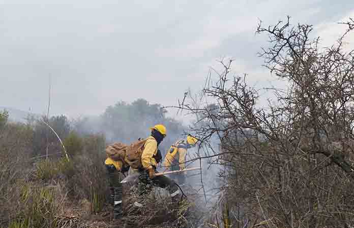 Continúa la ola de incendios forestales