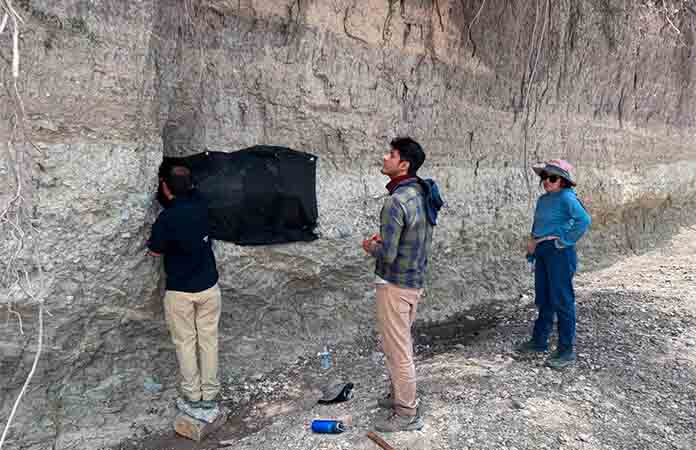 Hallan restos de un mamut en El Sauz