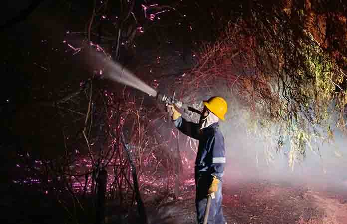 Combaten incendio forestal en San José