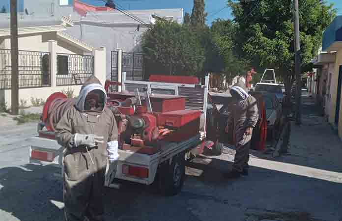 Bomberos retiran panales de abejas