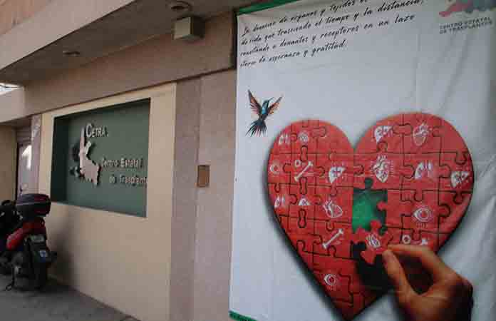 Ya se han concretado 115 trasplantes en SLP